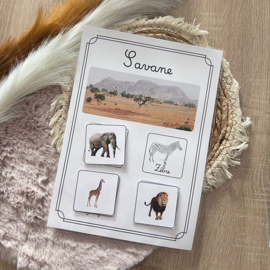 Animaux de la savane 🦁