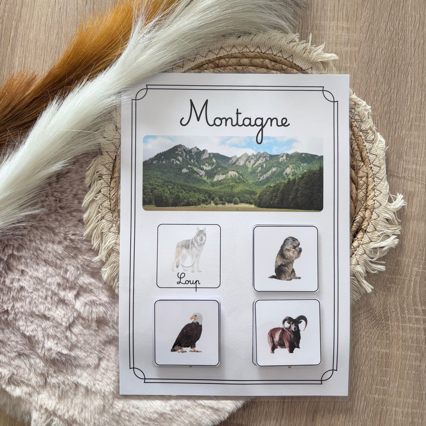Animaux de la montagne 🐺