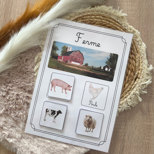 Animaux de la ferme 🐔