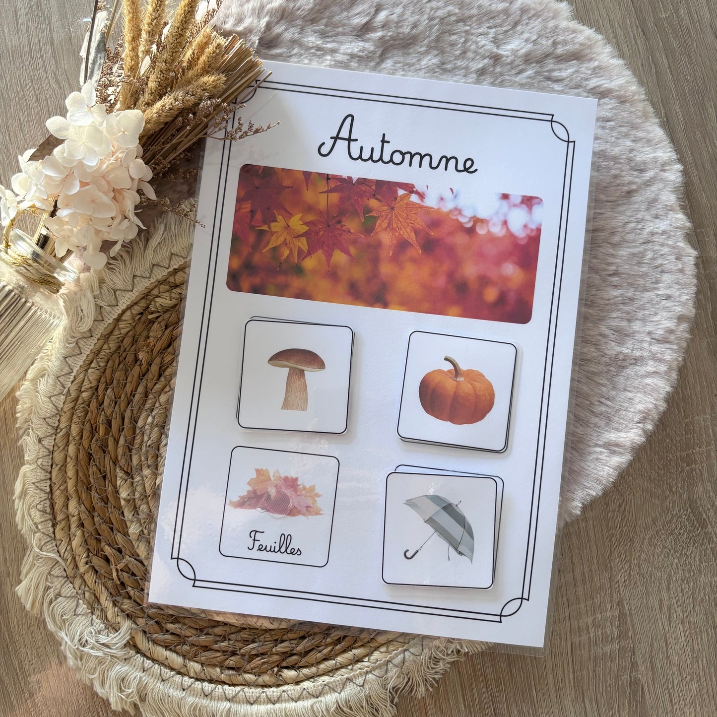 Automne 🍂