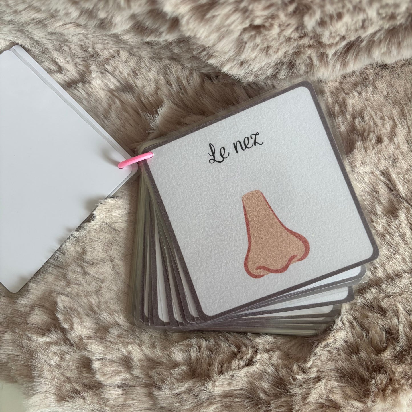 Imagiers des parties du corps