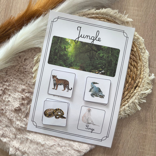 Animaux de la jungle 🐍