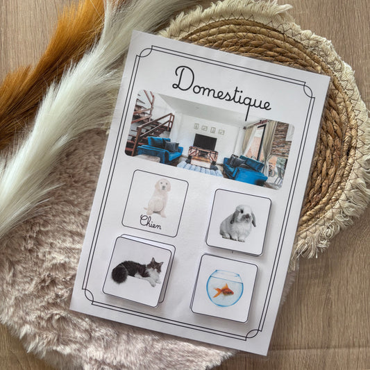 Animaux domestiques 🐶